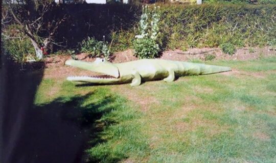 That crocodile Spiral UK