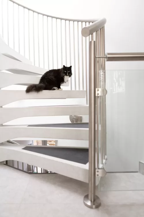 cat spiral staircase pets and spiral staircases uk london staircase designers white concrete stairs